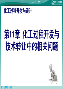 化工过程开发与设计第11章化工过程开发与技术转让中