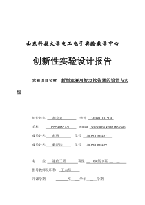 创新性实验设计报告模板