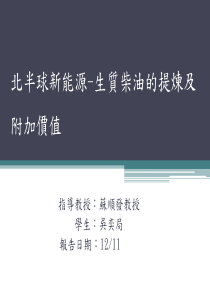 北半球新能源-生质柴油的提炼及附加价值