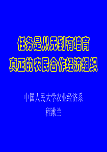 合作经济组织(农业经济学人民大学,程淑兰)