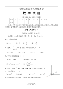 初中九年级中考模拟考试数学试题