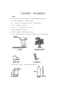 初中化学—二氧化碳和一氧化碳测试