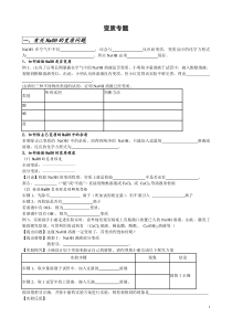 初中化学变质专题