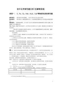 初中化学探究题分析(修改好)