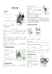 八年级生物上填图题(识图题)专题复习