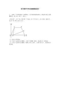 初中数学中考压轴题精选部分(学生版)