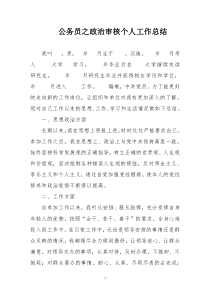 公务员之政治审核个人工作总结