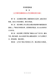 公司内部财务制度(改)