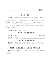 公司章程(不设董事会监事会的一人有限公司)