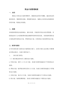 公司资金计划管理制度