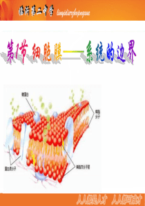 公开课--《细胞膜--系统的边界〉