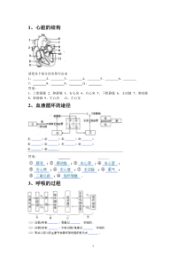 初中生物人体器官结构1