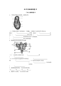 初中生物填图复习