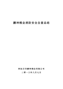 消防安全自检自查情况报告