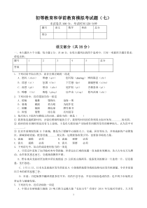 初等教育和学前教育模拟考试题(七)