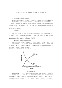 关于……公司EHS管理体系建立的报告