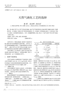 天然气液化工艺的选择