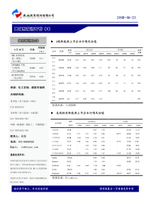 天相新能源专刊(1)