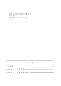 天邦股份湖南金德意油脂能源有限公司审计报告