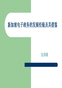 新加坡电子政务的