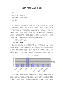 公司人力资源结构分析报告