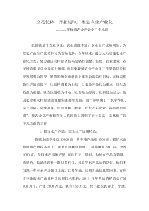 张桥镇农业产业化工作小结