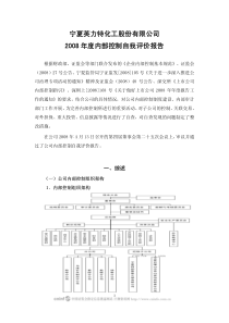 宁夏英力特化工股份有限公司