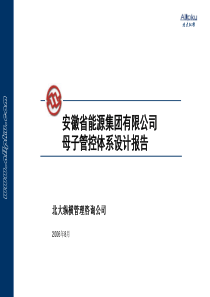 安徽省能源集团有限公司母子管控体系设计报告(PPT 116页)