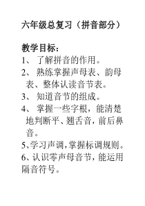 六年级总复习(拼音教案)