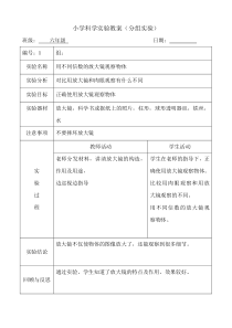 六年级科学下实验教案