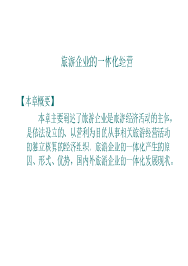 旅游企业_体化（PPT40页)