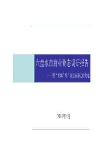 六盘水市商业业态调研报告4月