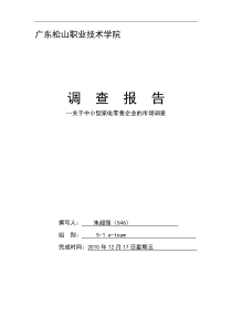 关于中小型家电零售企业生存现状的调查报告