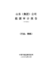 山东钢铁能源审计报告