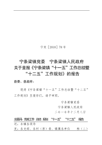 关于呈报《宁条梁镇十一五工作总结暨十二五工作规划》的报告2010年