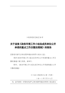 关于呈送《政务环境工作小组各成员单位公开承诺的重点工作及整改措施》的报告