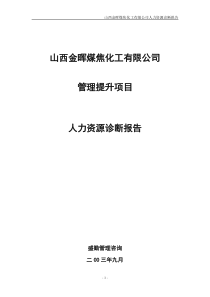 山西金晖煤焦化工—人力资源诊断报告