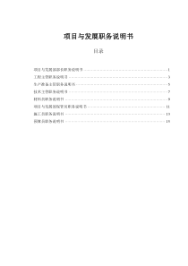 山西金晖煤焦化工—项目与发展部职务说明书