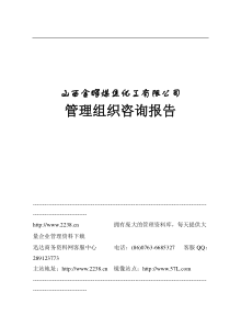 山西金晖煤焦化工有限公司管理提升项目全案