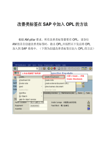 关于改善类标签在SAPZ中加入OPL的发法