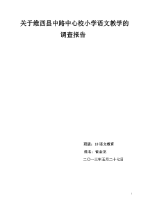 关于维西县中路中心校小学语文教学的调查报告