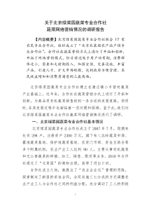 关于绿菜园合作社蔬菜网络营销的调研报告