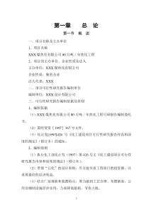 年产80万吨煤焦化工程可研