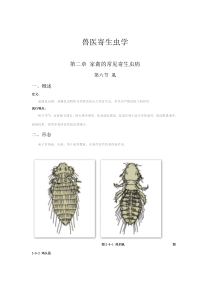 兽医寄生虫学--第二章家禽的常见寄生虫病第六节虱