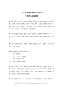 广东宝丽华新能源股份有限公司内部责任追究制度