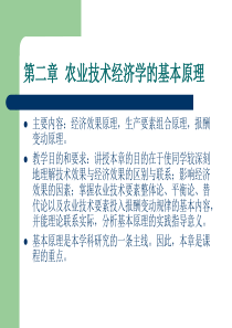 农业技术经济学的基本原理