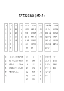 农村党支部换届选举03