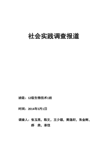 农村发展问题的调查报告