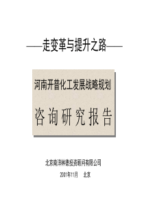 开普化工战略规划2(1)