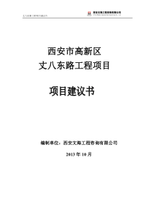 西安市高新区市政道路工程项目建议书